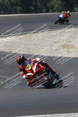 media/Sep-21-2025-TrackDaz (Sun) [[277c75b276]]/A Group/11am (Turn 3)/